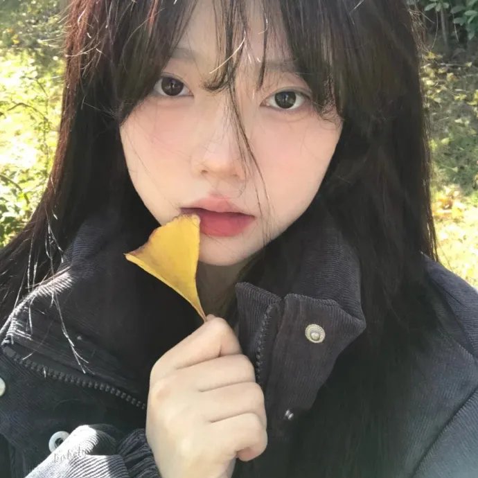 弗兰西斯卡海报