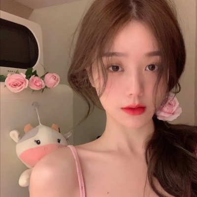 中情局律师海报